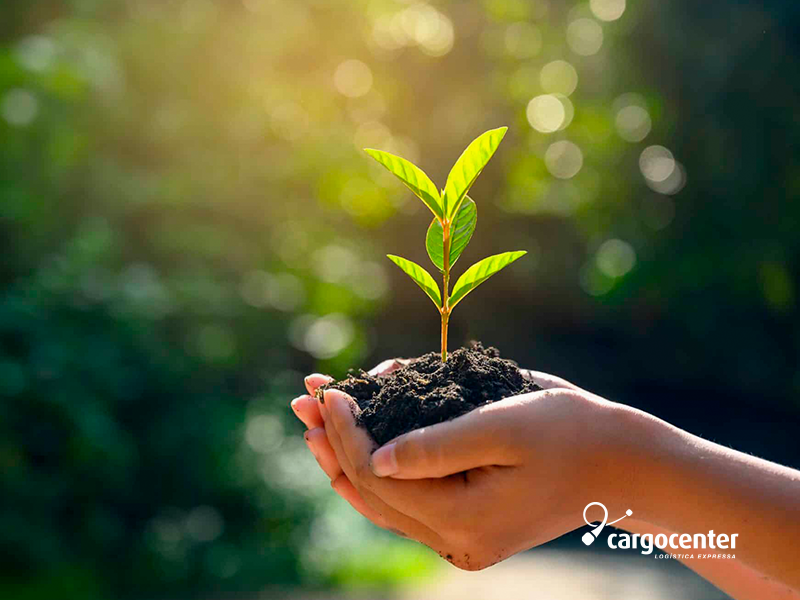 Logística Verde: Práticas Sustentáveis no Transporte de Cargas